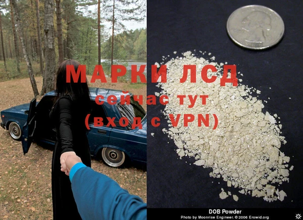 дживик Белокуриха