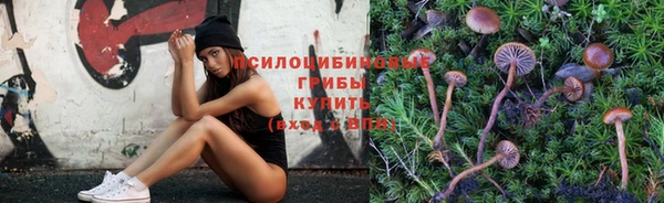 дживик Белокуриха